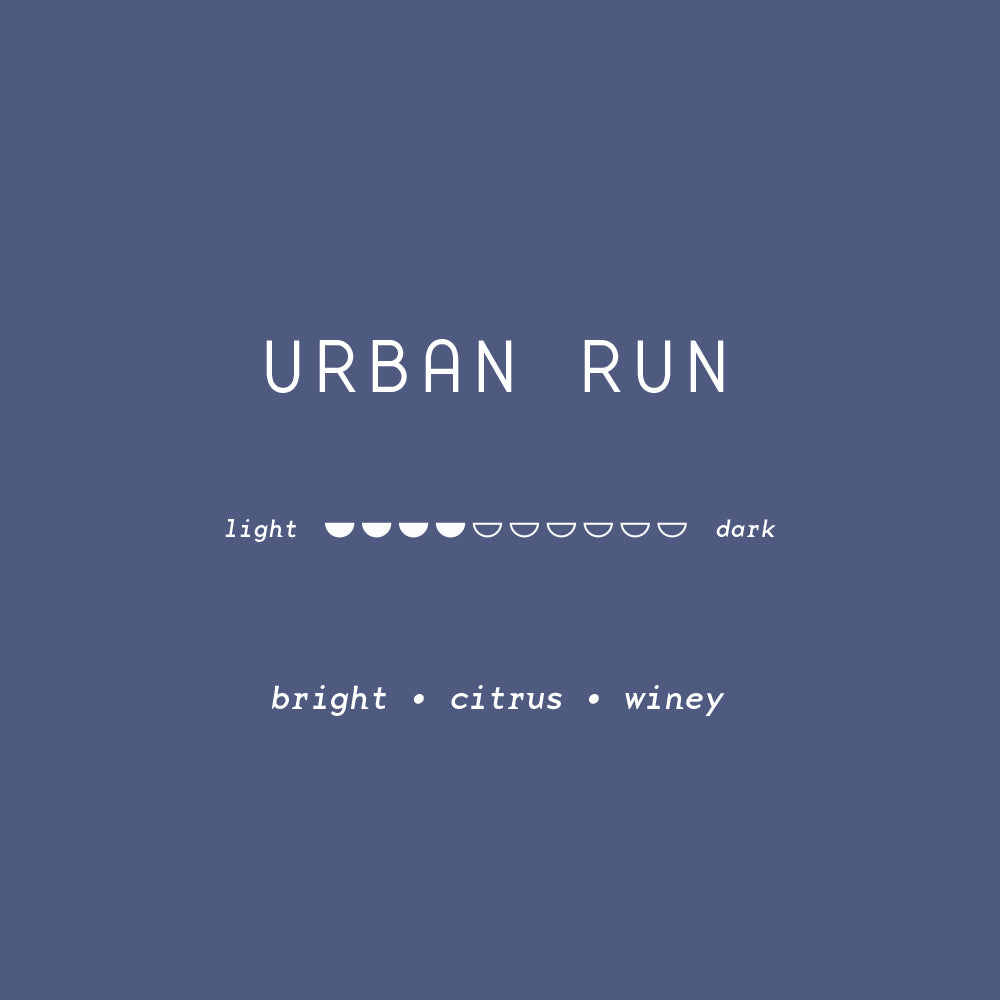 URBAN RUN